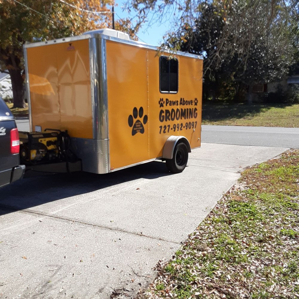 Paws Above Mobile Pet Grooming - Help has arrived for Marmallade Jelly!! - Pet Groomers Near Me Paws Above Mobile Pet Grooming - Help has arrived for Marmallade Jelly!! - Pet Groomers Near Me