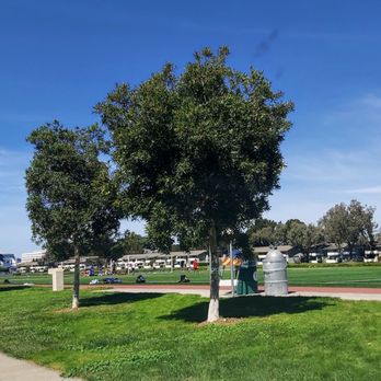 Catamaran Park - 77* and sunny - Parks Near Me - San Mateo, California