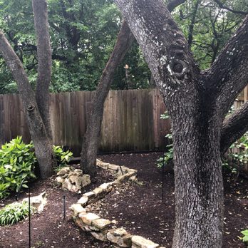 Best Tree Care - Do you see the limb behind the fence? It looks like someone cut it with scissors - Tree Services Near Me
