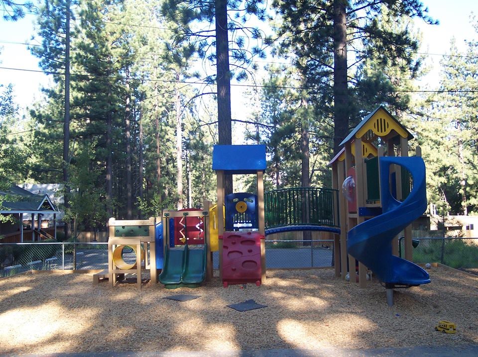 under-the-magic-pine-tree-elementary-schools-981-silver-dollar-ave