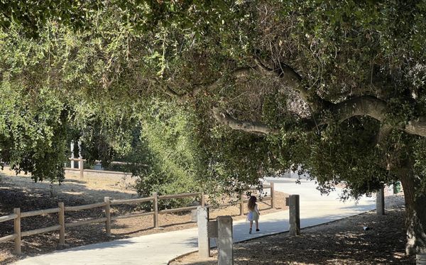 Chumash Indian Museum by null