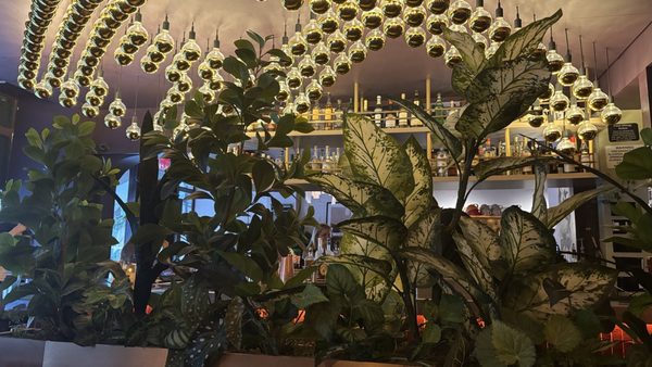 Lume West Village by null