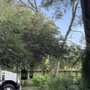 Liberty Tree Care