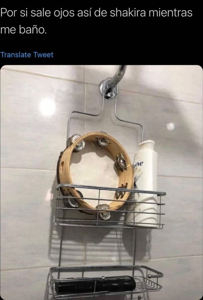 US POST OFFICE Updated August 2024 446 Willis Ave, Williston Park