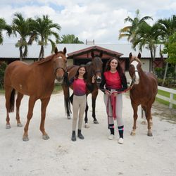 Empire Equestrian Academy
