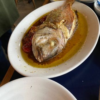 Andros Taverna - daily fish special: synagrida - Greek Near Me - Chicago, Illinois Andros Taverna - daily fish special: synagrida - Greek Near Me - Chicago, Illinois