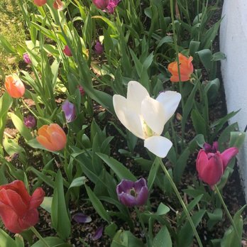 Crystal Hermitage Gardens - Community Gardens Near Me - Nevada City, California