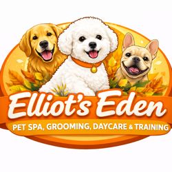 Freedom Doggy Care