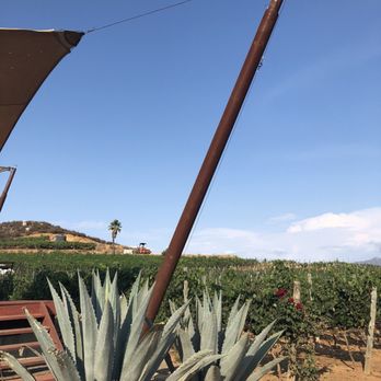 Relieve Vinicola - Outdoor setting, deck surrounded by vineyards. - Wineries Near Me - Ensenada, BCN Relieve Vinicola - Outdoor setting, deck surrounded by vineyards. - Wineries Near Me - Ensenada, BCN