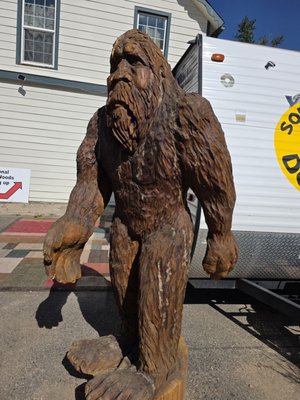 Sasquatch Outpost by null