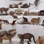 Photo of World Museum of Natural History