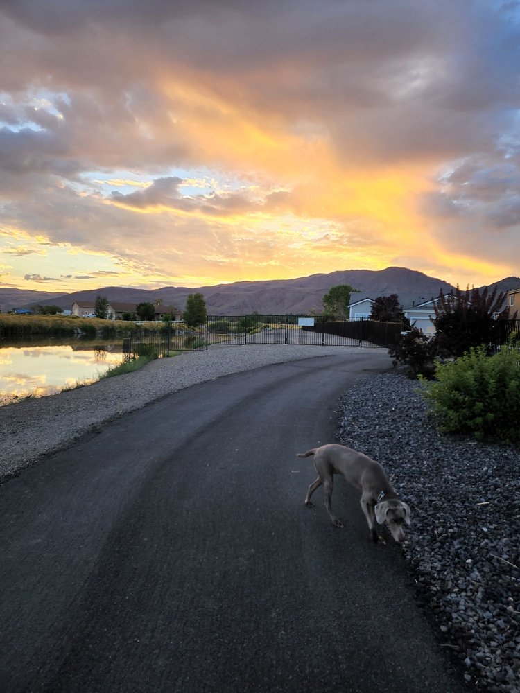 MIRA LOMA PARK Updated May 2024 35 Photos 3000 S McCarran Blvd