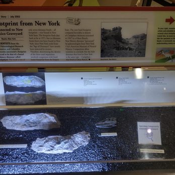 Museum of the Earth - Exhibit about Coelophysis in the Museum of the Earth. This dinosaur may have existed in New York based on fossilized tracks that match known - Museums Near Me - Ithaca, New York