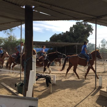 Barnyard Buddies - Petting Zoos Near Me - Lakewood, California