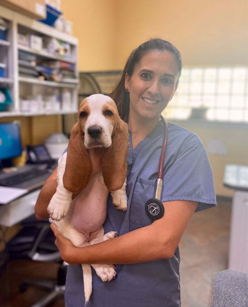 All About Animals - pet boarding facility in Seffner, FL