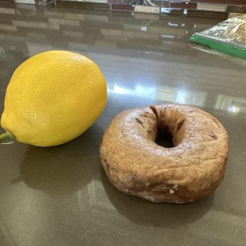 New York Bagels’N Bialys - Cactus - Compare to an average lemon. - Breakfast & Brunch Near Me - Phoenix, Arizona New York Bagels’N Bialys - Cactus - Compare to an average lemon. - Breakfast & Brunch Near Me - Phoenix, Arizona