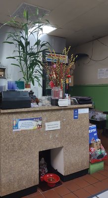 Phở Little Saigon by null