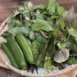 Seoul Market - Thai basil, Persian cucumbers, mint leaves, perilla leaves.