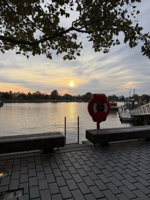 MI VIDA by null MI VIDA by null