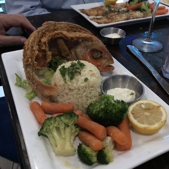 Mora Grill - Yellow tail snapper spectacular - Syrian Near Me - Pompano Beach, Florida