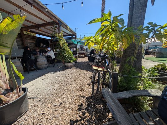 The Backyard by null