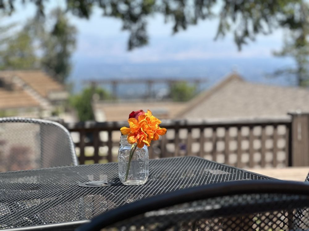 The Mountain Winery