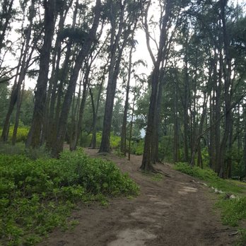 Sherwood Forest - Loving the change of scenery - Parks Near Me - Waimanalo, Hawaii