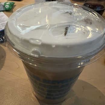 Cosmic Cafe - Stardust Latte - Cafes Near Me - Chicago, Illinois Cosmic Cafe - Stardust Latte - Cafes Near Me - Chicago, Illinois