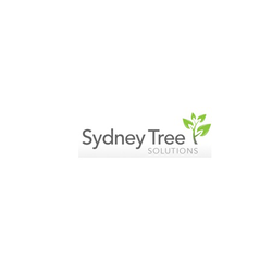 Sydney Tree Solutions - Tree Surgeon Roseville