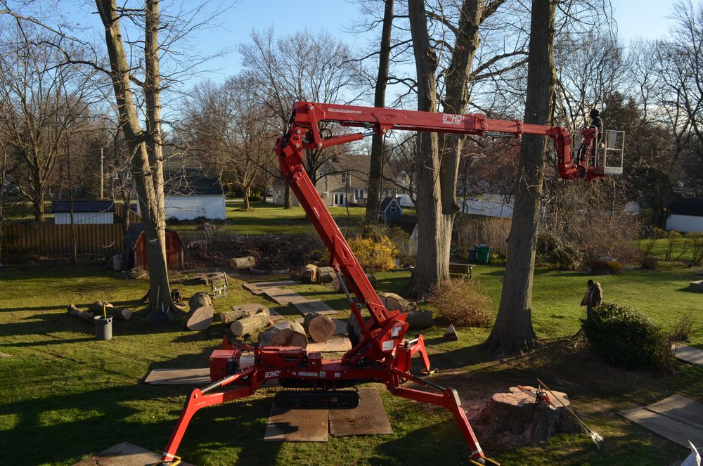 Hometown Lawn & Tree Service - tree service in Montville, OH