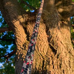 Gap Arborist Supply - One of our climbing ropes in action