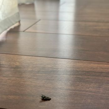 Janitorial Monster - Office Cleaning Near Me - Clovis, California