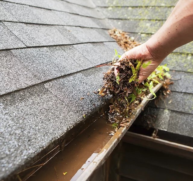 Precision Lawn Care - tree service in Pass Christian, MS