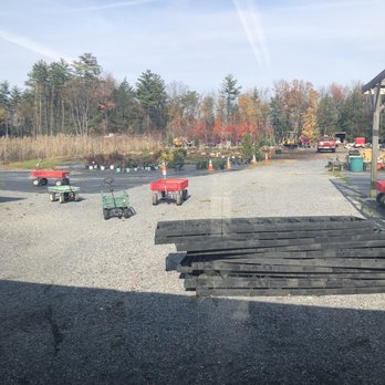 Brookside Farms Nursery - The back of the nursery where they keep the larger trees - Nurseries & Gardening Near Me - Ballston Spa, New York