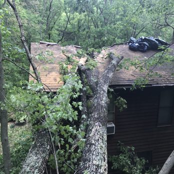 Smittys Tree Service - Tree Services Near Me