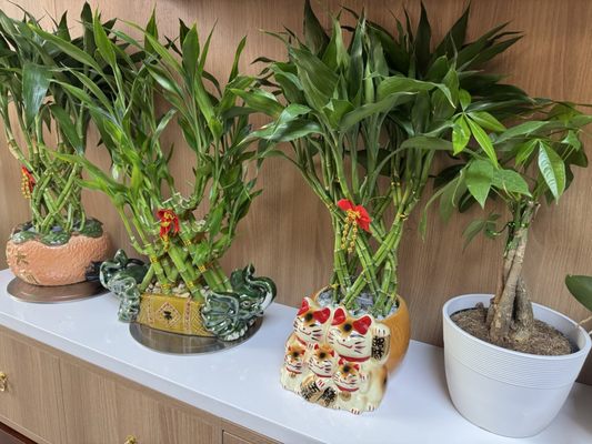 Cafe Diem NYC by null