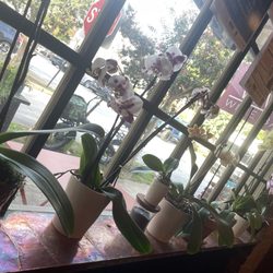 Viva Wine Bar