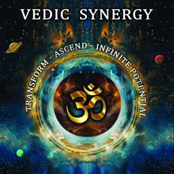 Vedic Synergy