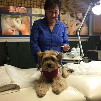 Azitassalon - Faking waxing my client poppy lol - Skin Care Near Me - Toluca Lake, California