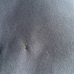 Alterations By Loann - (Polyester fleece material) was wondering if could be fixed seen a video of someone making it look like new !
