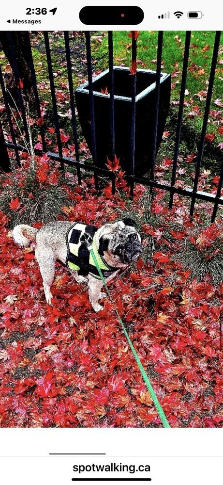 o Jupiter Florida Real Estate For Sale