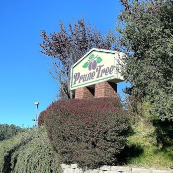 KB Chicken - Stated - Chicken Wings Near Me - Prunedale, California KB Chicken - Stated - Chicken Wings Near Me - Prunedale, California