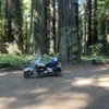 Vtwin Thunder Service and Repair gift card