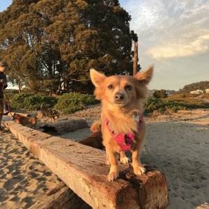Albany Beach on Yelp