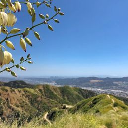 Vital Link Trail.