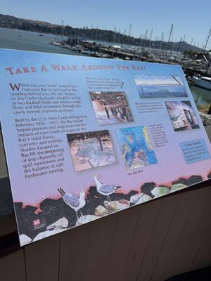 Bay Model Visitor Center by null