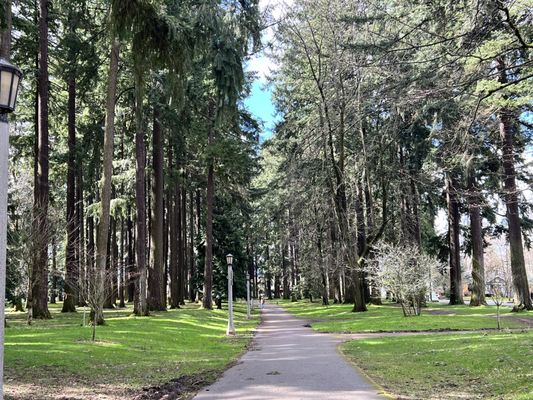 Columbia Park Portland OR: The Ultimate Guide for Your Next Portland Trip