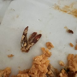 Plaza Mexico Restaurant - A creature found in my taco