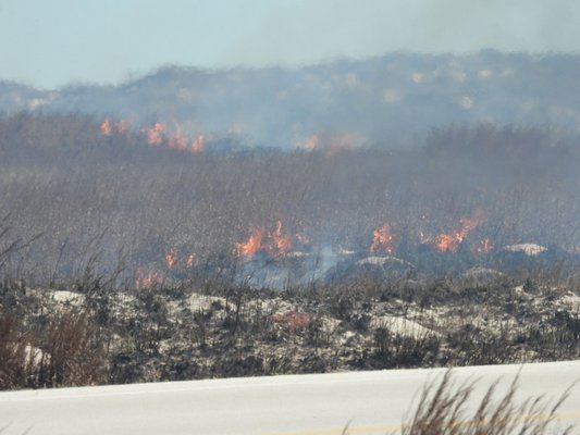 Padre Island National Seashore - Malaquite Visitor Center by null