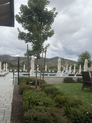 Campo Poolside by null